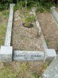 image of grave number 157386